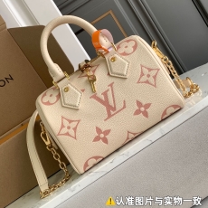 Louis Vuitton Speedy Bags